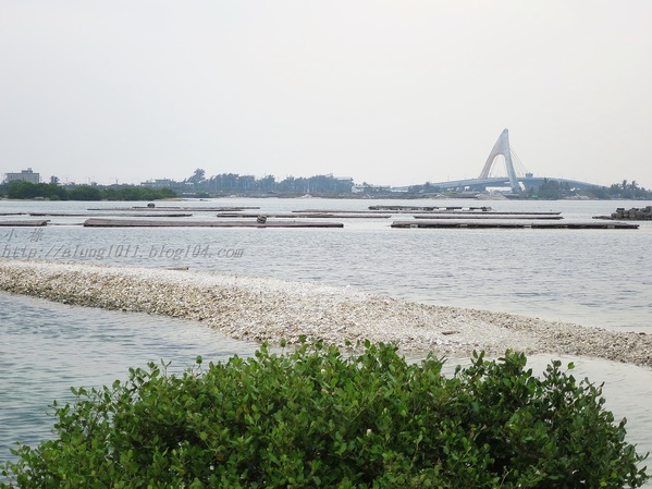 蚵殼島:蚵民不經意的傑作 ..大鵬灣蚵殼島