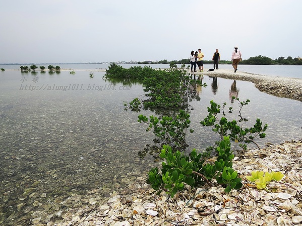 蚵殼島：蚵民不經意的傑作    ..大鵬灣蚵殼島