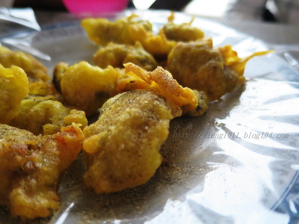 蚵殼島:蚵民不經意的傑作 ..大鵬灣蚵殼島