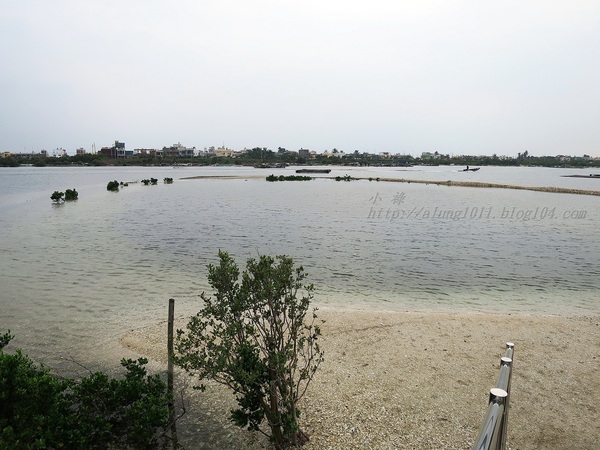 蚵殼島：蚵民不經意的傑作    ..大鵬灣蚵殼島