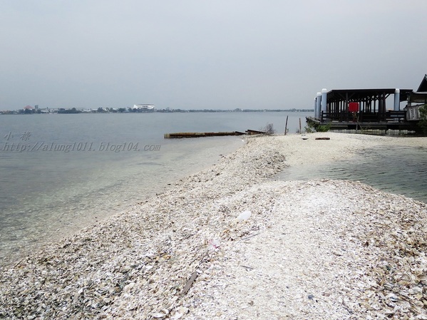 蚵殼島：蚵民不經意的傑作    ..大鵬灣蚵殼島