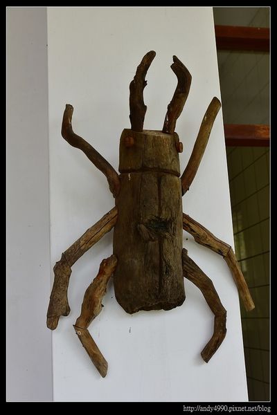 20160211南澳原生植物園區13