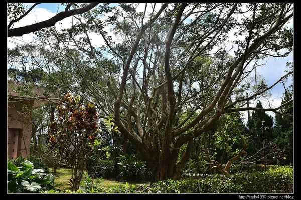 20160211南澳原生植物園區7