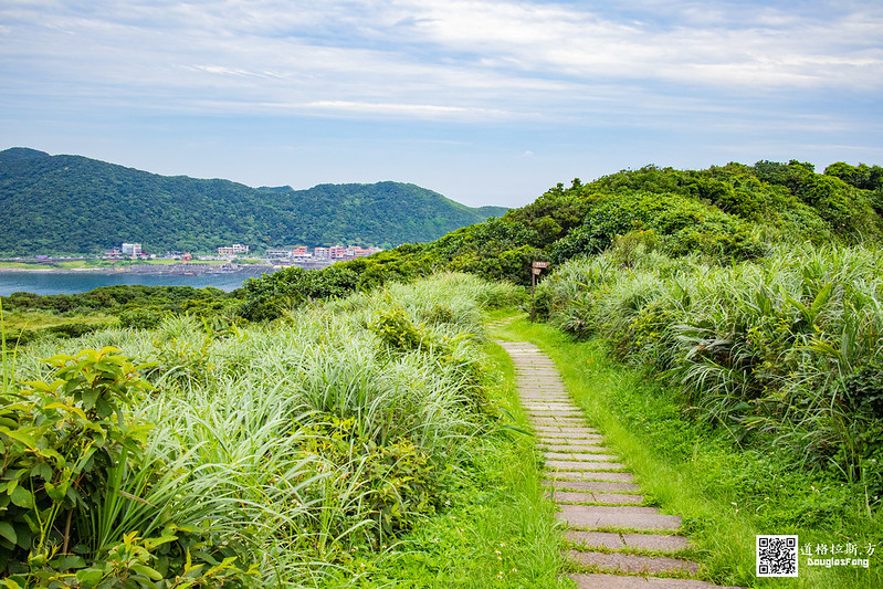 【遊記】新北貢寮龍洞灣岬步道 (26)