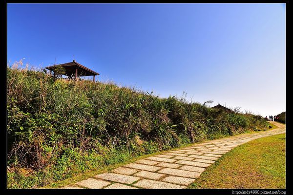 20160208龍洞灣岬步道9