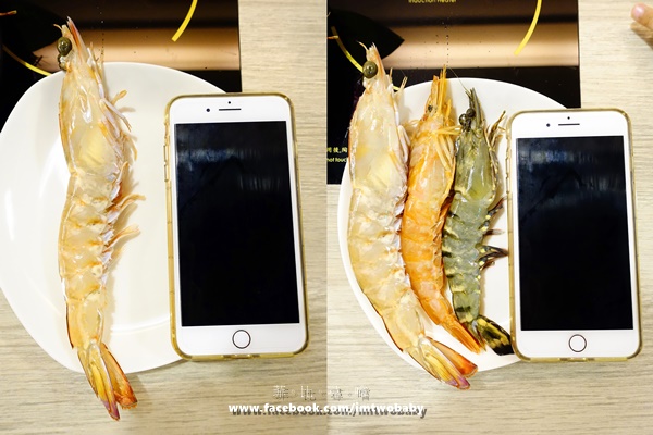 鍋太炫：【捷運美食】鍋太炫鍋物-永吉店 肉慾橫流M9雪花和牛/24公分超大澳州國王蝦 闇陰陽！這鍋太炫～近五分舖/後山埤站