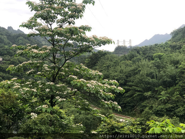 圓圓家出去玩-<新北景點>臺灣最大簾幕式瀑布，十分瀑布傾瀉而下，氣勢磅礡，假日踏青好去處