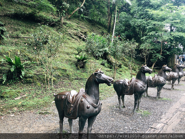 圓圓家出去玩-<新北景點>臺灣最大簾幕式瀑布，十分瀑布傾瀉而下，氣勢磅礡，假日踏青好去處