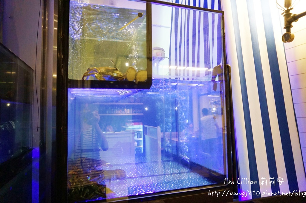 新莊美食48蒸海海鮮.jpg 新莊美食48蒸海海鮮.jpg