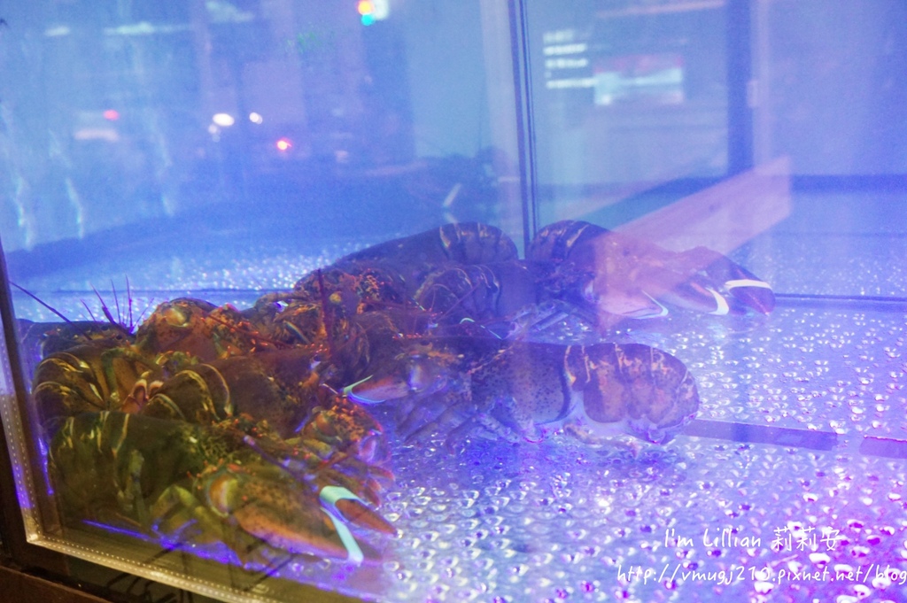 新莊美食40蒸海海鮮.jpg 新莊美食40蒸海海鮮.jpg