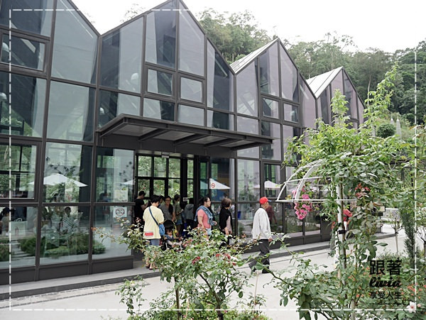 1108-雅聞七里香玫瑰森林 (24)