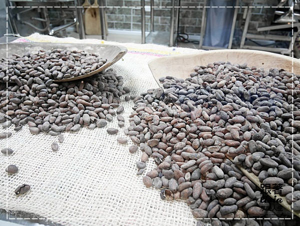 1107-巧克力雲莊 (8)