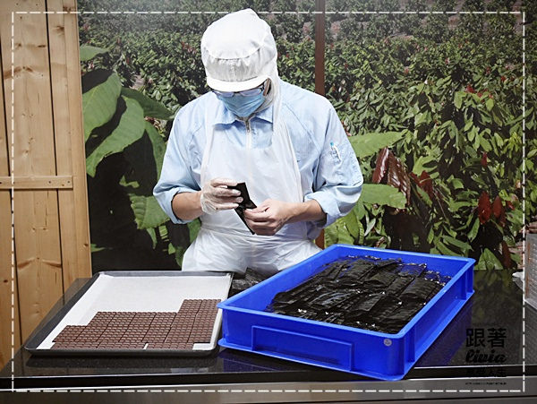 1107-巧克力雲莊 (10)