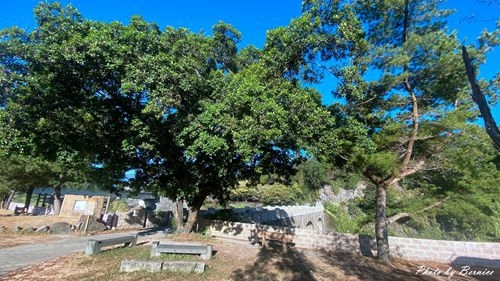 1118 2-糯米橋11.jpg