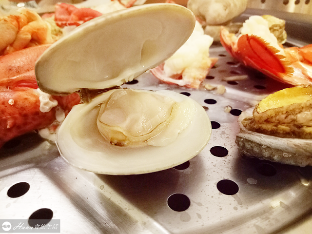 【新北新莊】 蒸海精緻鍋物 | 食材新鮮不用多加調味 健康自然的原汁原味海鮮蒸氣火鍋 滿滿的鮮甜頂級享受