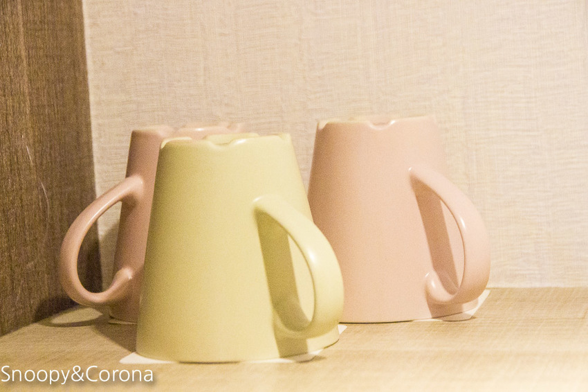 【嘉義住宿】嘉義文化路夜市住宿推薦/蘭桂坊花園酒店~緊鄰文化路夜市,逛街購物享美食都方便