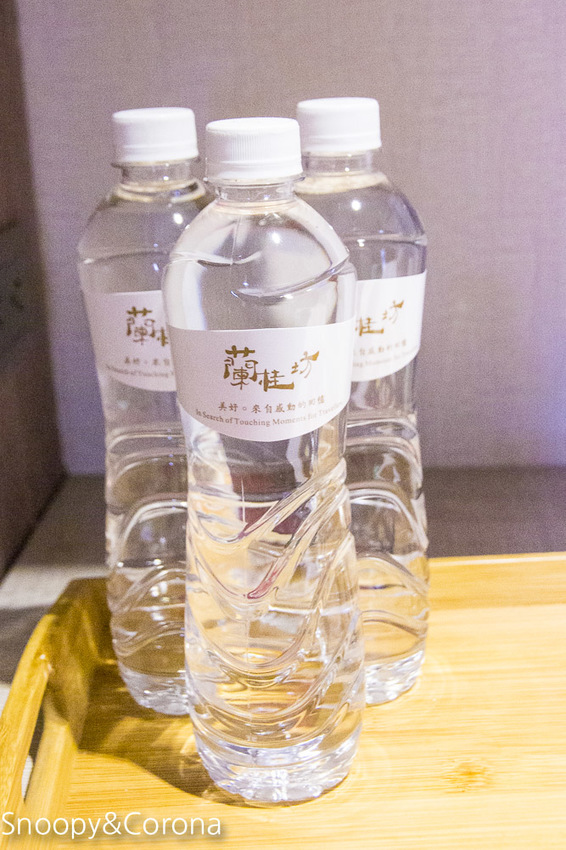 【嘉義住宿】嘉義文化路夜市住宿推薦/蘭桂坊花園酒店~緊鄰文化路夜市,逛街購物享美食都方便