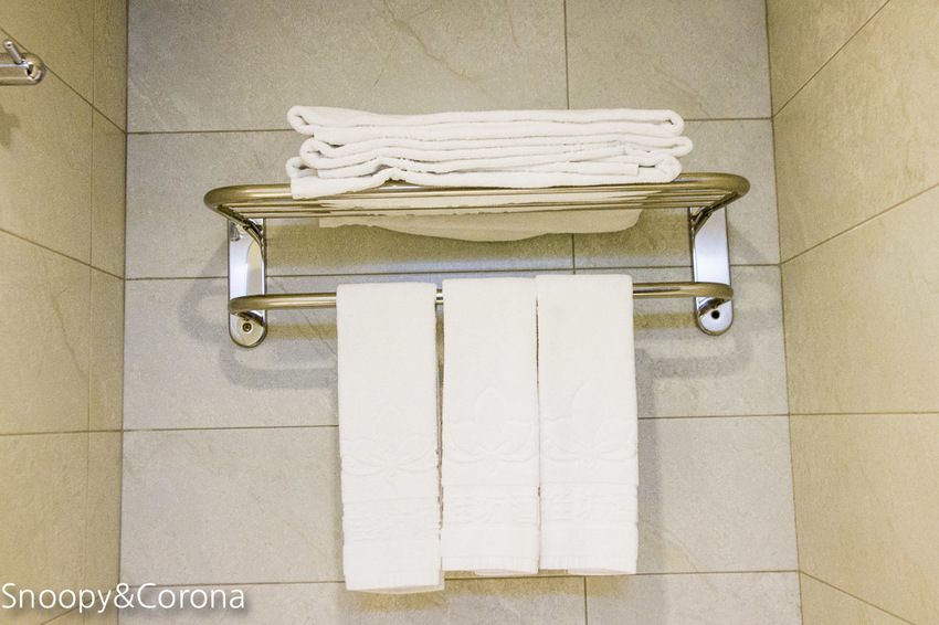 【嘉義住宿】嘉義文化路夜市住宿推薦/蘭桂坊花園酒店~緊鄰文化路夜市,逛街購物享美食都方便