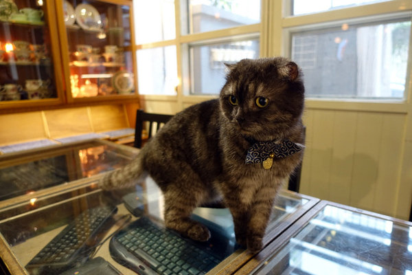 aluvbe cakery艾樂比台北店 (20).JPG