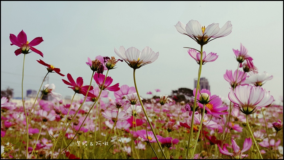 20161107_155512.jpg 20161107_155512.jpg