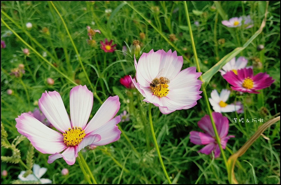 20161107_145727.jpg 20161107_145727.jpg