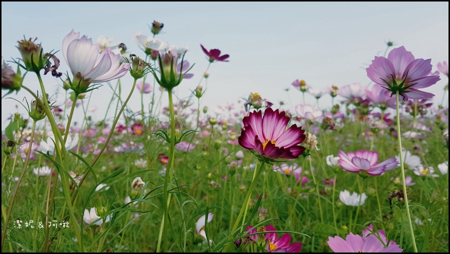 20161107_150059.jpg 20161107_150059.jpg