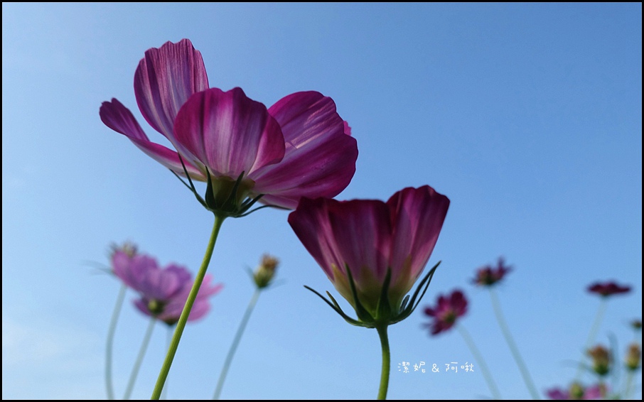 DSC05769.JPG DSC05769.JPG