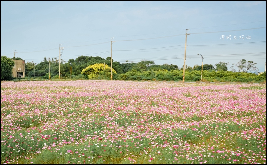 DSC_8365.jpg DSC_8365.jpg