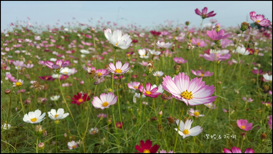 20161107_150408.jpg 20161107_150408.jpg