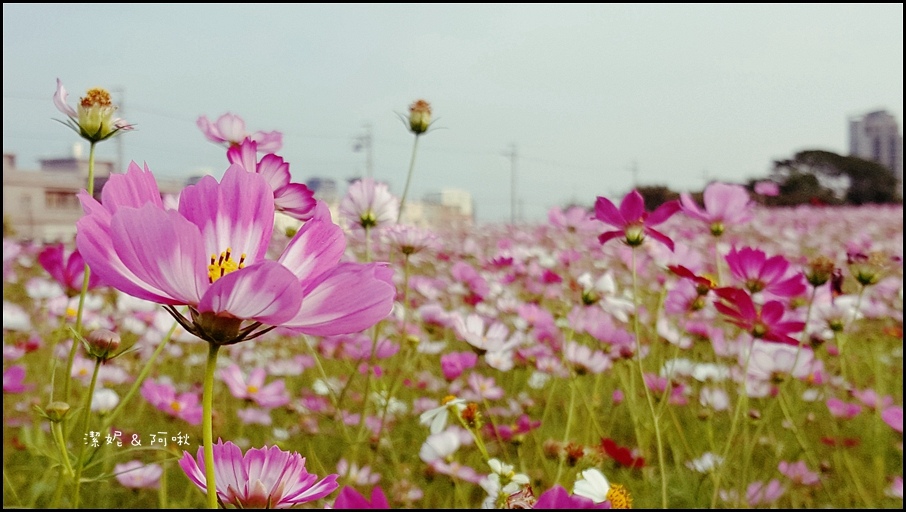 20161107_155452.jpg 20161107_155452.jpg