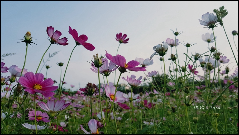 20161107_145955.jpg 20161107_145955.jpg