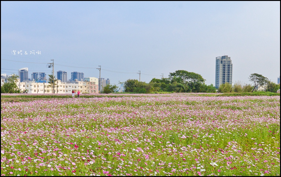 DSC_8322.jpg DSC_8322.jpg