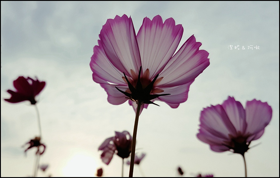 20161107_155716.jpg 20161107_155716.jpg