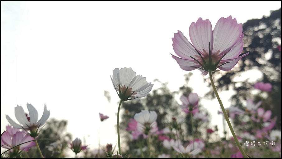 20161107_151131.jpg 20161107_151131.jpg