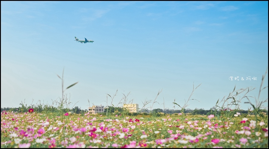 DSC_8266.jpg DSC_8266.jpg