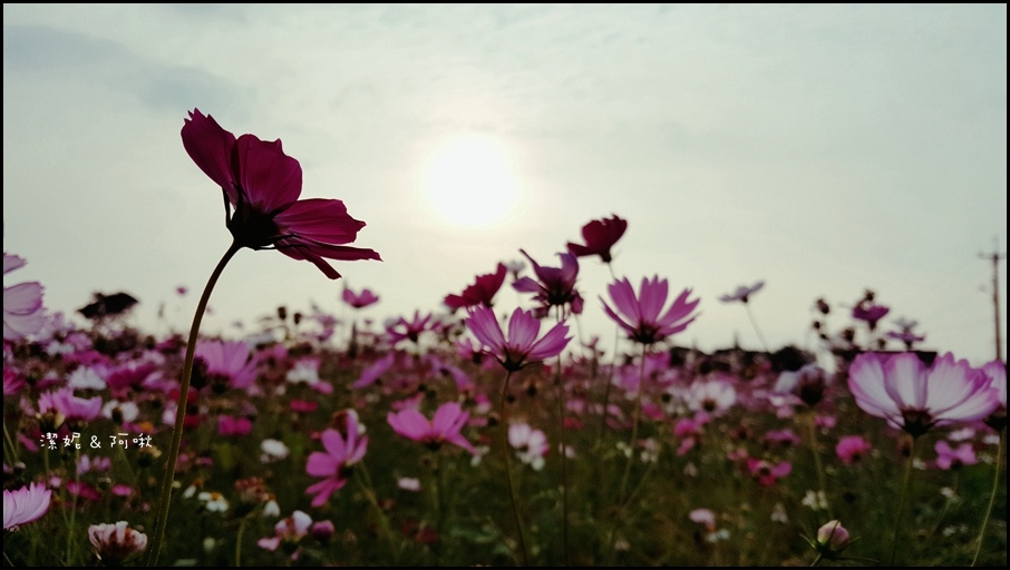 20161107_155605.jpg 20161107_155605.jpg