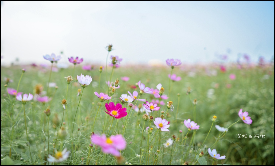 DSC_8283.jpg DSC_8283.jpg