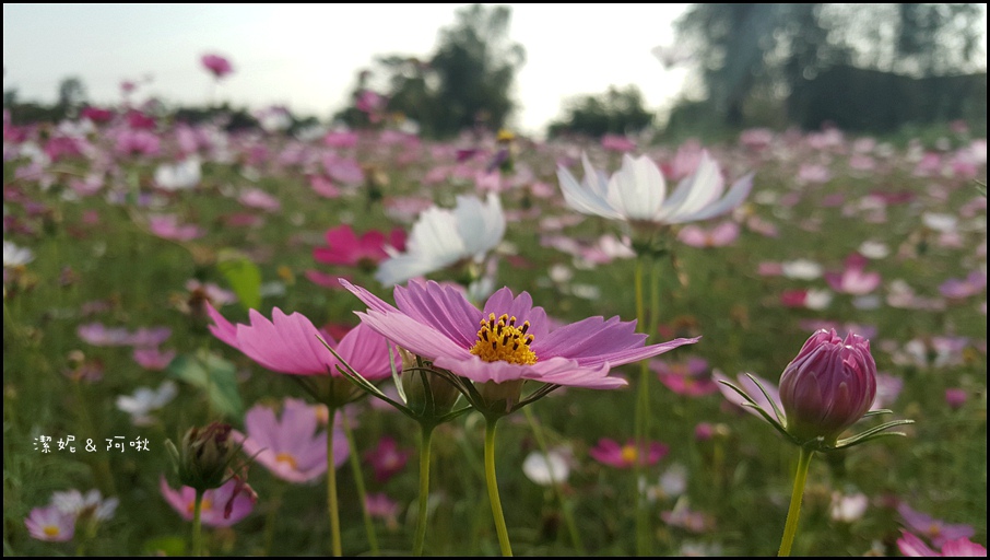 20161107_150422.jpg 20161107_150422.jpg