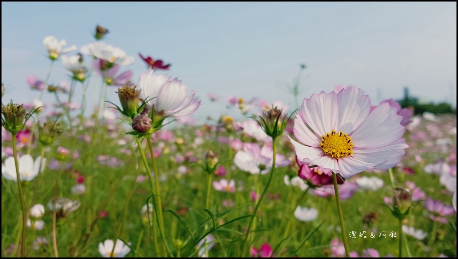 20161107_145606.jpg 20161107_145606.jpg