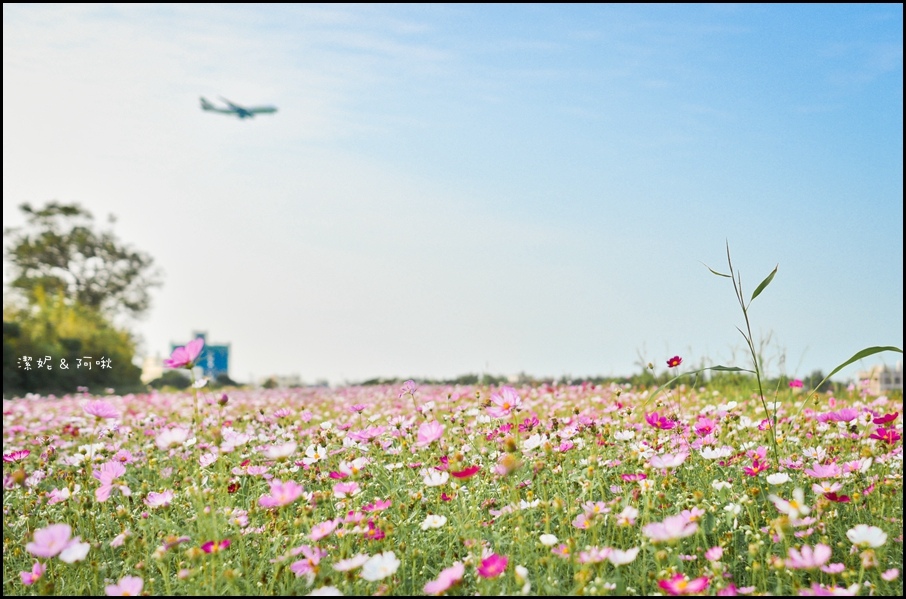 DSC_8265.jpg DSC_8265.jpg