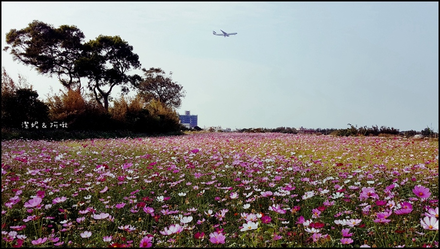 20161107_145436.jpg 20161107_145436.jpg