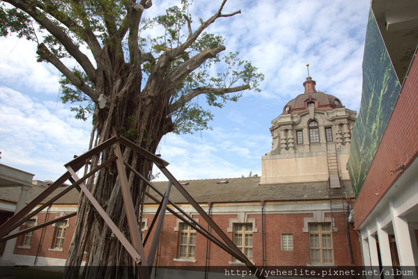 AO3A2422.CR2.jpg AO3A2422.CR2.jpg