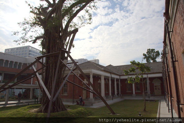 AO3A2424.CR2.jpg AO3A2424.CR2.jpg