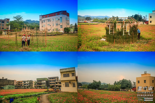2016桃園花彩節|桃園市蘆竹區文青風暨大園區農村風花海盛事登場，怎麼拍怎麼美的超好拍場地。