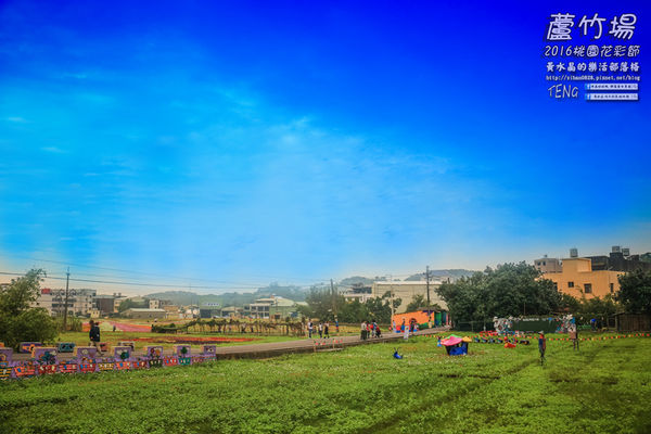 2016桃園花彩節|桃園市蘆竹區文青風暨大園區農村風花海盛事登場，怎麼拍怎麼美的超好拍場地。