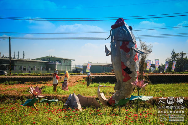2016桃園花彩節|桃園市蘆竹區文青風暨大園區農村風花海盛事登場，怎麼拍怎麼美的超好拍場地。
