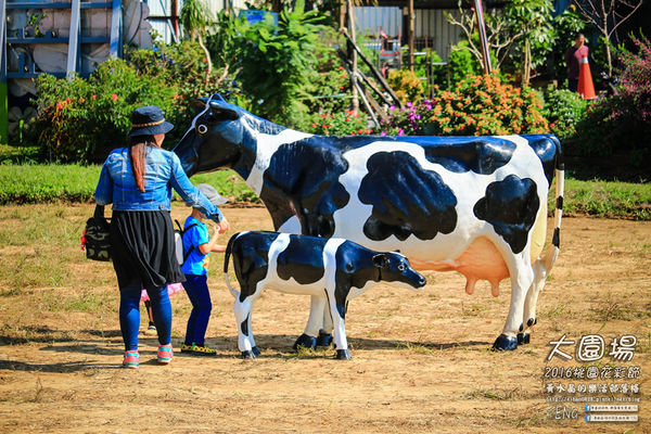 2016桃園花彩節|桃園市蘆竹區文青風暨大園區農村風花海盛事登場，怎麼拍怎麼美的超好拍場地。