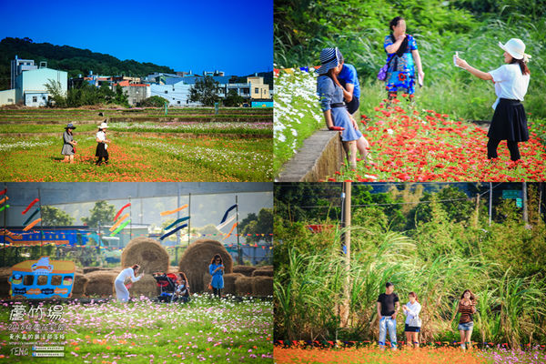 2016桃園花彩節|桃園市蘆竹區文青風暨大園區農村風花海盛事登場，怎麼拍怎麼美的超好拍場地。