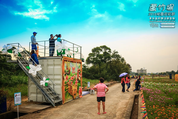 2016桃園花彩節|桃園市蘆竹區文青風暨大園區農村風花海盛事登場，怎麼拍怎麼美的超好拍場地。