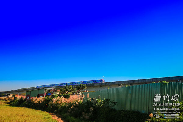 2016桃園花彩節|桃園市蘆竹區文青風暨大園區農村風花海盛事登場，怎麼拍怎麼美的超好拍場地。